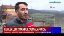 Baharın müjdecisi leylekler İstanbul semalarında görsel şölen oluşturdu