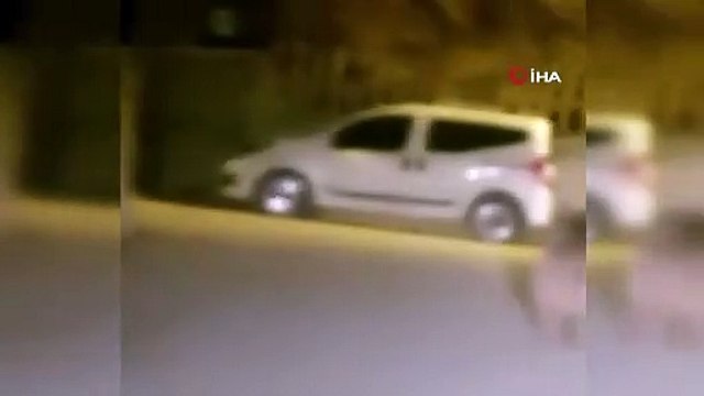 Yozgat’ta ilçe merkezine inen ayı cep telefonu ile görüntülendi