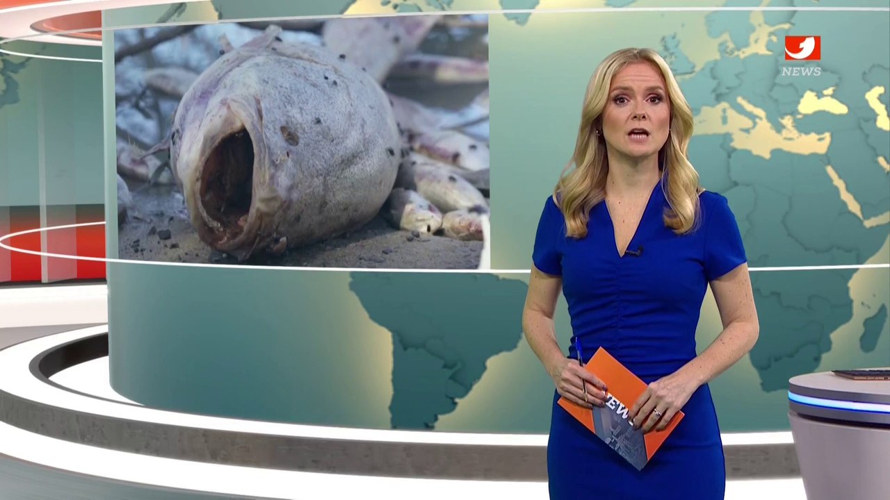 Angela Van Brakel Nachrichten (18/03/2023)