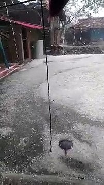 फसलों पर फिर ओलों की मार