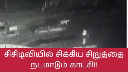 Download Video: கோவை: சிறுத்தை நடமாடும் பரபரப்பு சிசிடிவி காட்சிகள் வெளியீடு