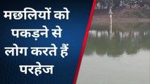 मुजफ्फरपुर: जानिए इस तालाब की मछलियों को पकड़ने से क्यों लोग करते हैं परहेज, देखिए ये खास रिपोर्ट