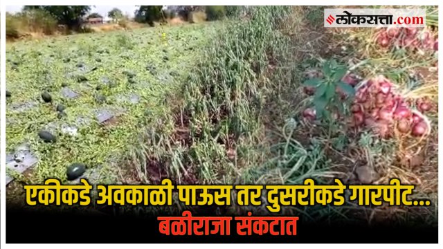 राज्यात अवकाळी पावसामुळे शेतकरी हवालदिल; निसर्गाच्या लहरीपणामुळे पिकाला फटका | Maharashtra Farmers