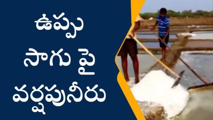 పశ్చిమగోదావరి: రైతుల ఆశలపై నీళ్లు చల్లిన అకాల వర్షాలు