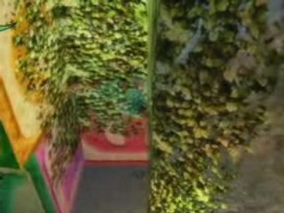 Death Jr. 2 : Root of Evil