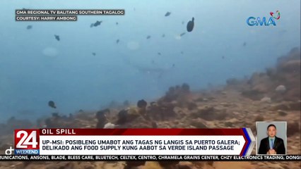 Posibleng umabot ang tagas ng langis sa Puerte Galera — UP-MSI | 24 Oras Weekend