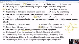 Sinh 11 - Giữa kỳ II Đề  2