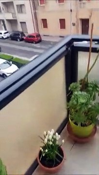 Corteo a Piombino contro l'arrivo della Golar Tundra