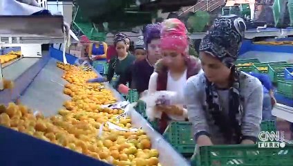 TBMM'de 2 haftalık yoğun mesai