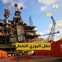ما قصة حقل "البوري" النفطي الذي أغضب الليبيين من قيس سعيد؟