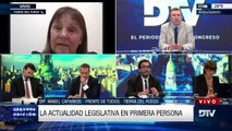 Expectativa en Diputados por la convocatoria para sesiones extraordinarias (parte 1)