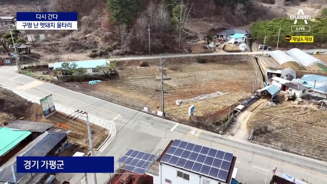 [다시 간다]장장 2800km ‘있으나 마나’…구멍 난 멧돼지 울타리