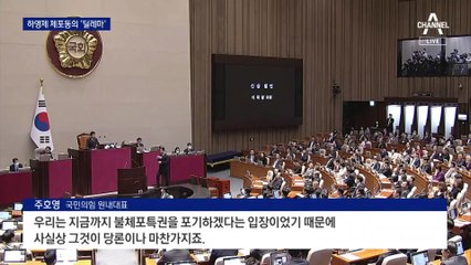 여도 야도 하영제 체포동의안 ‘딜레마’