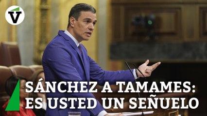 Sánchez a Tamames: "Es un señuelo que utiliza Abascal para esconder su infumable e impresentable proyecto"