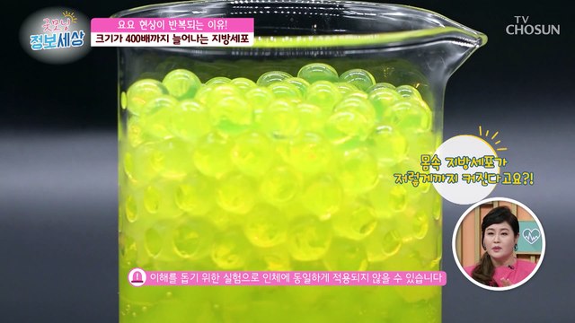 멈추지 않는 요요현상과 살찌면 400배까지 커지는 지방세포 TV CHOSUN 230321 방송