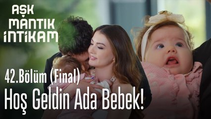 Mutlu aile tablosu - Aşk Mantık İntikam 42. Bölüm Final