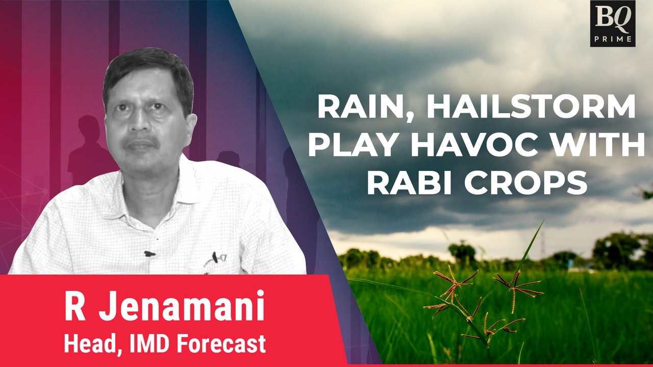 Rain, Hailstorm Wreak Havoc On Standing Crop