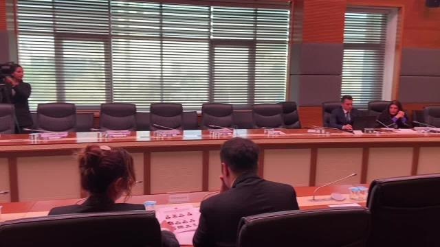 Yapı İşleri Genel Müdürü, TBMM Deprem Araştırma Komisyonu'nda Yapı Denetimdeki Usulsüzlüğü Anlattı.