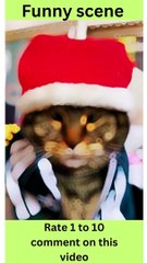 The Ultimate Guide to Cute Cats