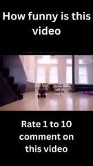 This Cat is So Funny When He's Scared!