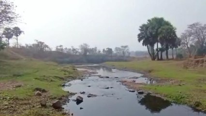 পুরুলিয়া:কোটি টাকা খরচ করেও খরা প্রবণ জেলায় সম্পূর্ণ ফ্লপ চেকড্যাম!