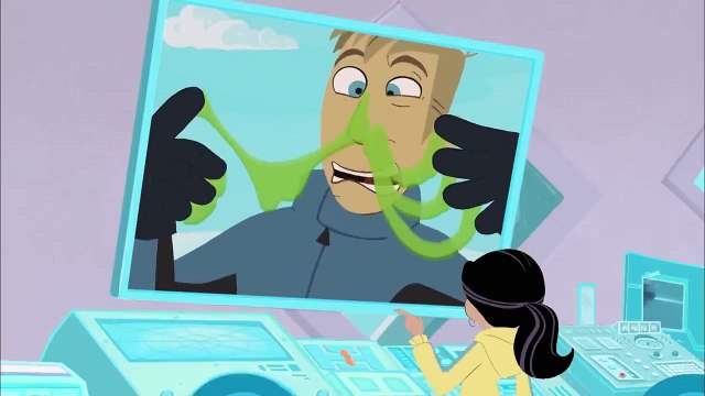 Amazing Adaptations Part 2 How Animals Survive in the Wild