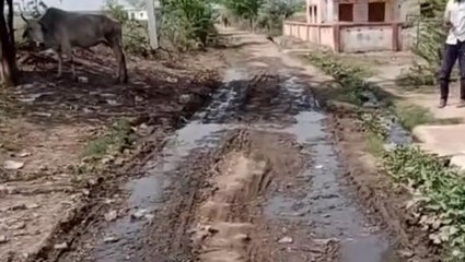 भिण्ड: भ्रष्टाचार के मामले में पंचायत सचिव पर गिरी गाझ, कलेक्टर ने किया निलंबित