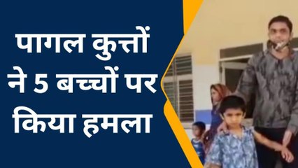 खरगोन:पागल कुत्तों का दिखा आतंक, 5 बच्चों पर किया हमला