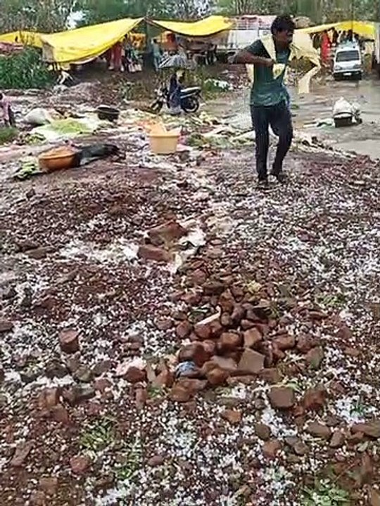 दामजीपुरा में ओले की बारिश,२० मिनट तक गिरे चने...