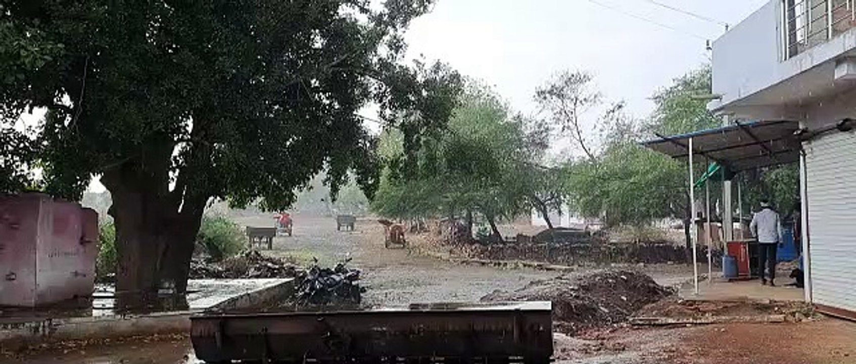 Rain became a disaster, harvesting and threshing stopped