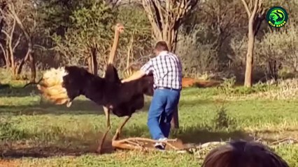 16 Moments When Wild Animals Surprised and Scared the Hell out of Humans