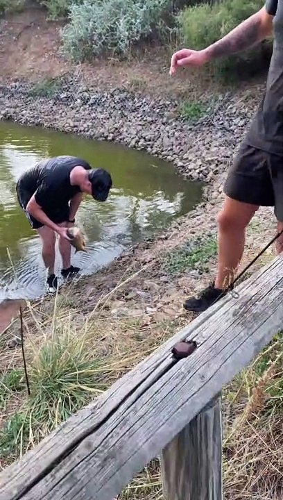 Retrieving Fish Can Be Messy