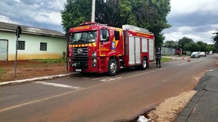 Pitbull solto mobiliza Corpo de Bombeiros no bairro Brasília