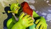 La lune de miel de Shrek et Fiona | Shrek 2 | Extrait VF