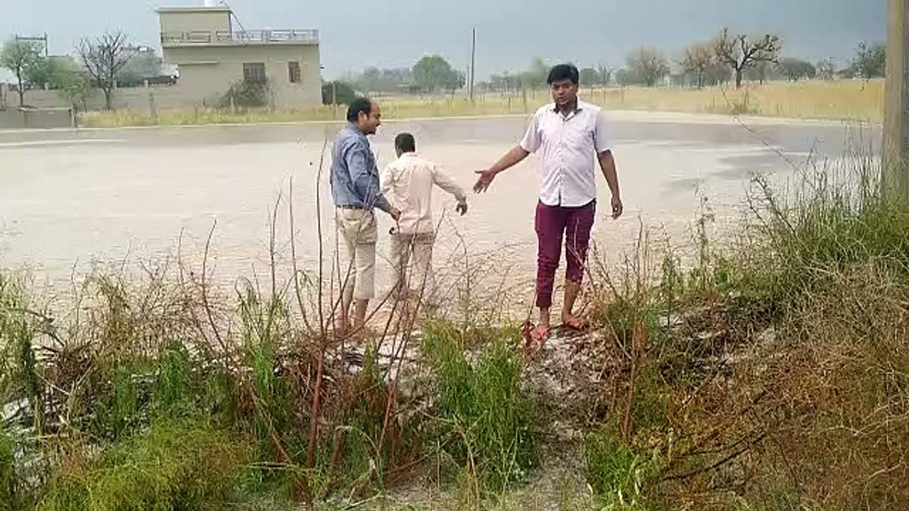 अन्नदाता पर कूदरत ने बरपाया ओले का कहर, किसानों...