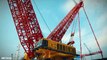 10 Largest and Tallest Cranes in the World