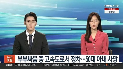 부부싸움 중 고속도로서 정차…50대 아내 사망