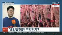 [출근길 인터뷰] '채끝살'만 따로 키운다…배양육이 뭐기에?