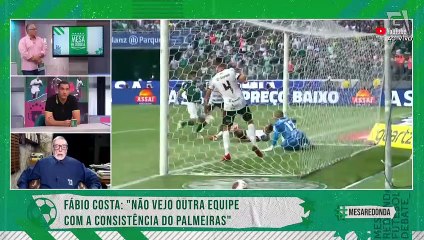 Ex-goleiro Fábio Costa avalia sucesso do Palmeiras nas últimas temporadas