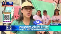Cieneguilla: Realizan campaña veterinaria para atender a mascotas afectadas por huaicos