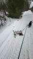 Hound Dog Gets Dragged by Friend During Walk in Snow