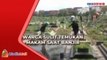 Warga Sulit Temukan Makam Keluarga di TPU Budi Darma Cilincing karena Banjir TPU di Cilincing Terendam Banjir