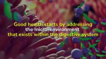 Best Probiotic Supplement For Candida | Best Probiotic For Candida Overgrowth | Love Biome Juice