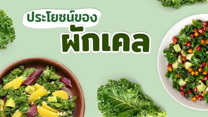 ประโยชน์ของผักเคล ซูเปอร์ฟู้ดอุดมคุณค่า ราชินีผักใบเขียว