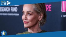 Sharon Stone en larmes : l'actrice explique avoir perdu la moitié de sa fortune
