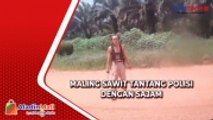 Menolak Ditangkap, Maling Sawit Tantang Polisi dengan Sajam di Bangka Belitung