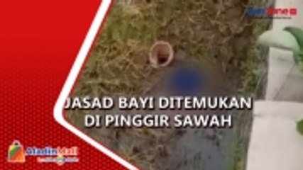 Download Video: Baru Dilahirkan, Jasad Bayi Laki-Laki Ditemukan Lengkap dengan Ari-Ari di Pinggir Sawah