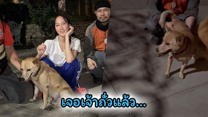 อั้ม พัชราภา ดีใจร้องลั่นบ้าน เจอเจ้าถั่วแล้ว หลังประกาศตามหา น้องหมาที่หายไป