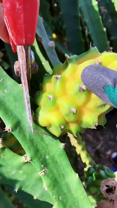 Enjoy beautiful nature with rural life