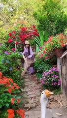 Enjoy beautiful nature with rural life